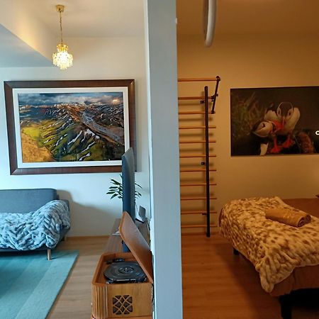 Puffin Nest, Superior Apartment Reykjavík Dış mekan fotoğraf