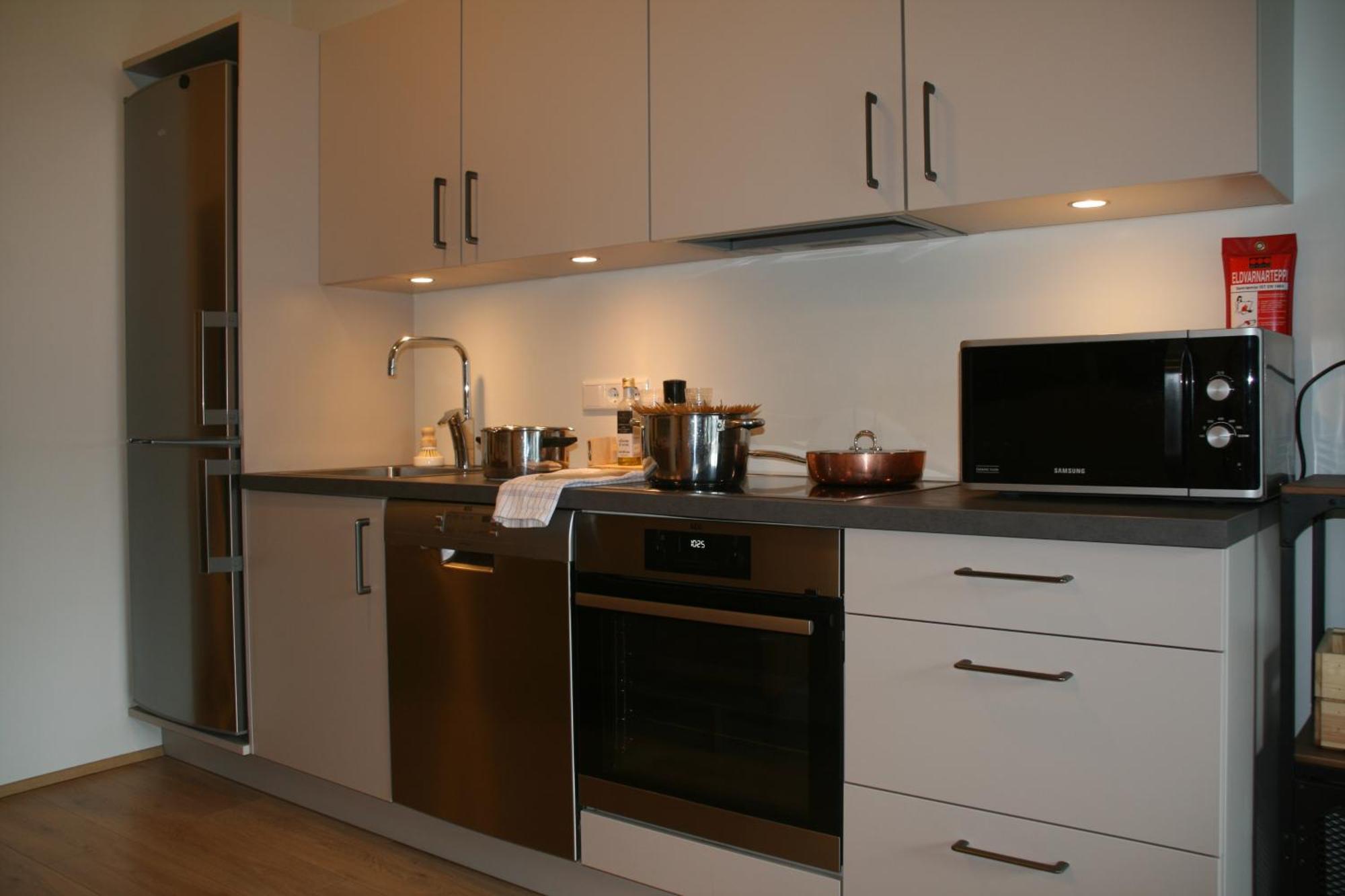 Puffin Nest, Superior Apartment Reykjavík Dış mekan fotoğraf